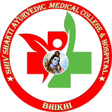 College Logo