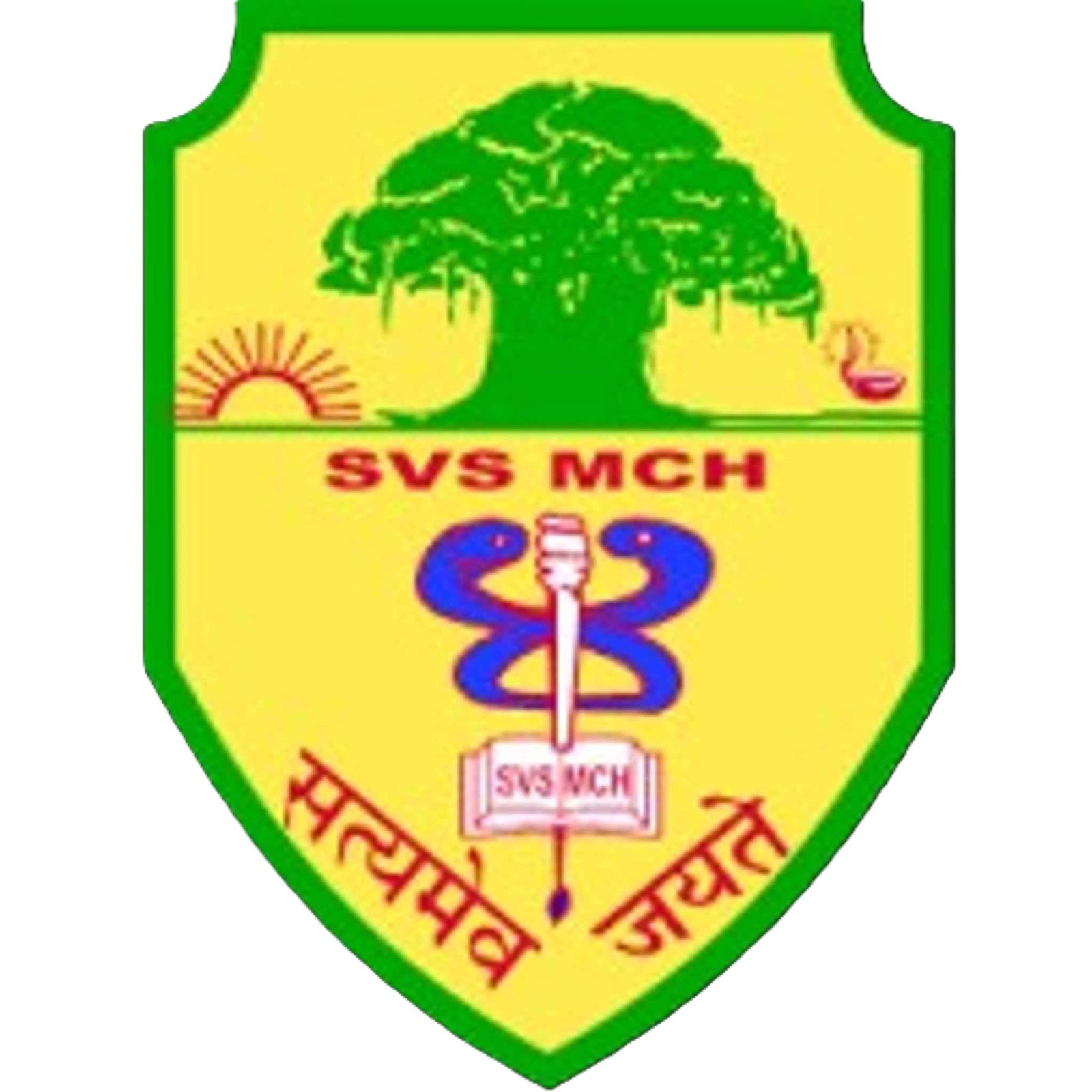 College Logo
